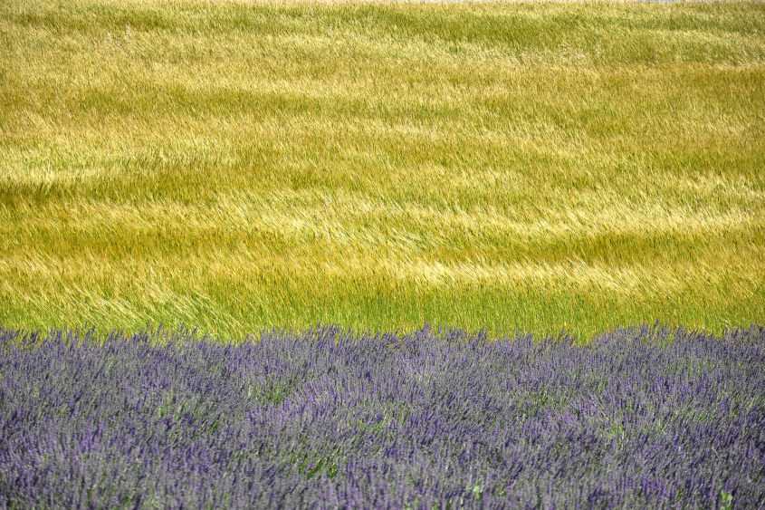 Harmonie Provençale Portrait d'un paysage éphémère 2 en Provence