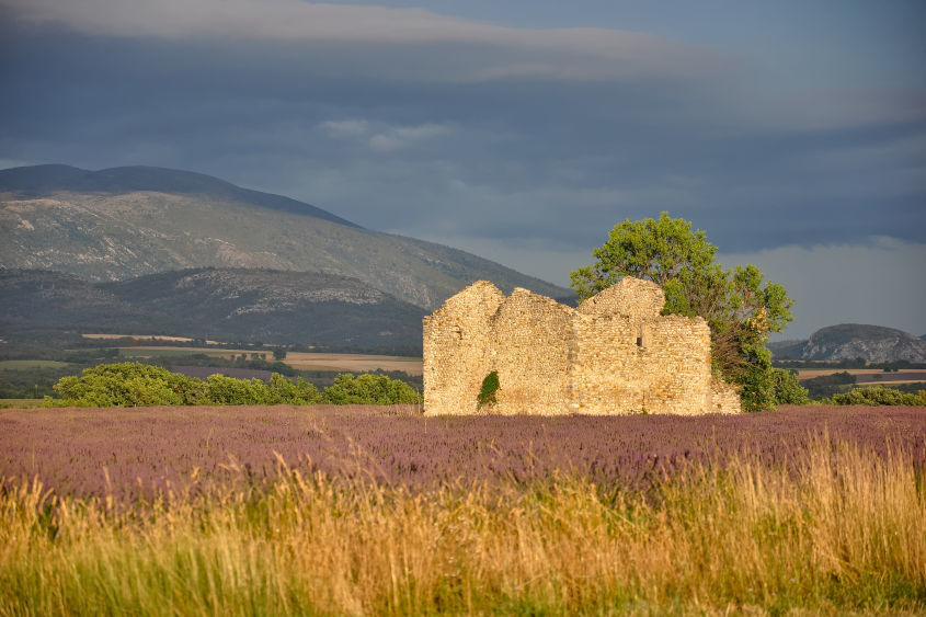 Mémoire de Provence Portrait d'une ruine abandonnée dans un paysage de Provence